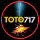 Customer Service TOTO717